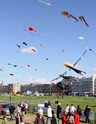 01- dieppe 2010 pelouses-